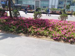 -赛格电子市场(华强北路店)
