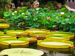 -国家植物园南园