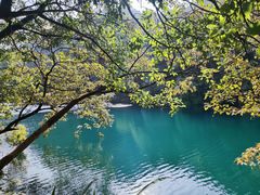 -鼎湖山风景区