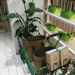 -悦诗风吟innisfree