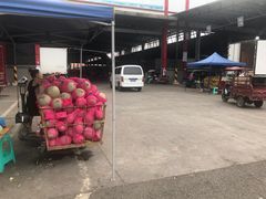 -双福水果批发市场