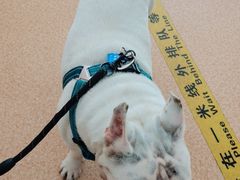 -宠颐生中康贝怡动物医院