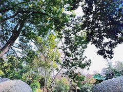 -三江森林温泉度假区