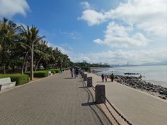 -深圳湾公园(南山区)