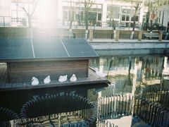 小河-中央戏剧学院(昌平校区)