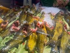 -苏格里岛自助海鲜烤肉(青秀万达店)