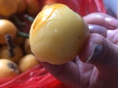 -塘栖枇杷特色园区