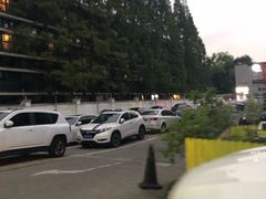 场地-沃尔玛上海田林店-地面停车场