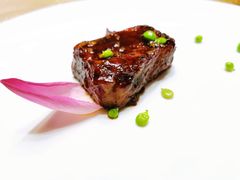 -诺莱仕游艇会