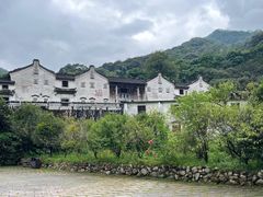 -雁南飞茶田景区