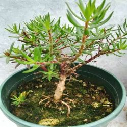 -Oasis Beauty水磨坊科技美肤中心