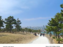 -小麦岛公园