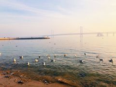 -星海广场