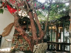 -喵屿·大理花园猫咖