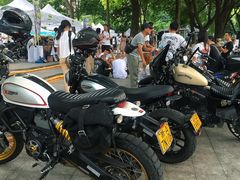 -西北湖绿化广场