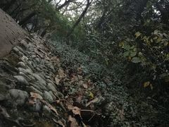 -青龙山公园