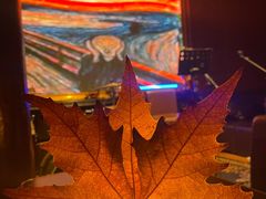 -悦界酒吧(后海店)