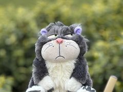 -白茶原·一片叶子