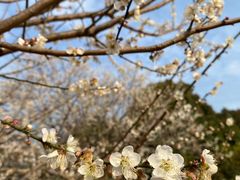 -广州市流溪河国家森林公园