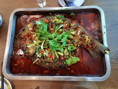 -老马家·舌尖上的西塘美食