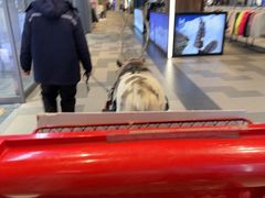 -王府井奥莱棋盘山小镇