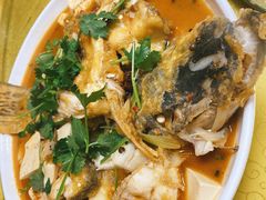 -煲来饱去冷水鱼