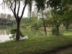 -昆山城市生态森林公园