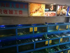 水产区-金苑海鲜酒家(新港中路店)