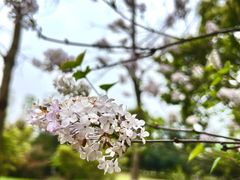 -院士公园