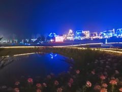 -花博汇(知音花月夜)