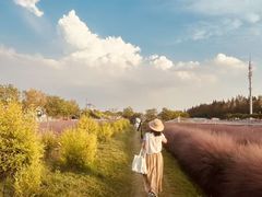 -嘉北郊野公园