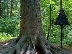 -五营红松林海景区