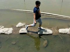 -白洋淀景区