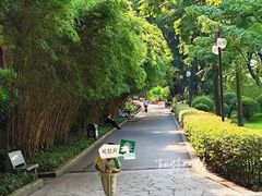 -晓港公园