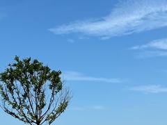 -巧克力渔家.小船海鲜家常菜(万平口店)