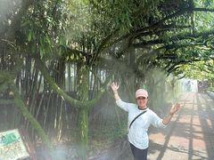 -呀路古热带植物园