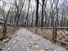 -森林公园(尖草坪区)