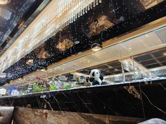 -红辣椒·川菜·火锅(张杨路店)