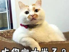 -德克士(西站站内店)