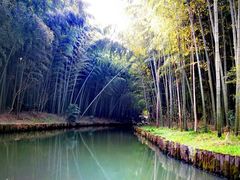 -同里国家湿地公园