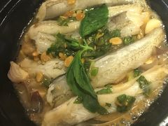生啫九肚鱼-潮粥荟·潮汕砂锅粥(朝阳大悦城店)