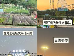 -花博汇(知音花月夜)