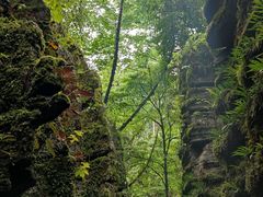 -梭布垭石林景区