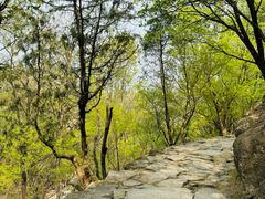 -北京鹫峰国家森林公园