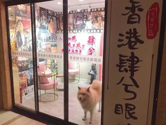 -肆兮眼镜·蔡司·徕卡战略合作店(大坪店)