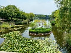 -东台西溪天仙缘景区