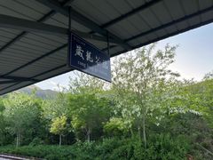 -黄金寨原生态旅游区