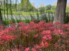 -白塘生态植物园