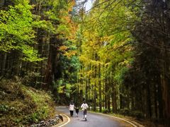 -山王坪喀斯特国家生态公园