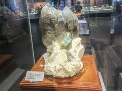 -湖南省地质博物馆